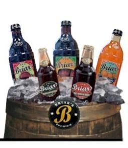 Briars Bottles – ice